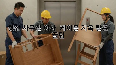 횡성 사무실 이사, 🤯 케이블 지옥 탈출 꿀팁!