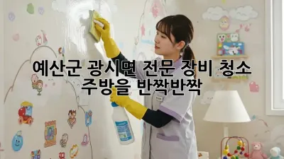 예산군 광시면 전문 장비 청소✨: 주방을 반짝반짝💎